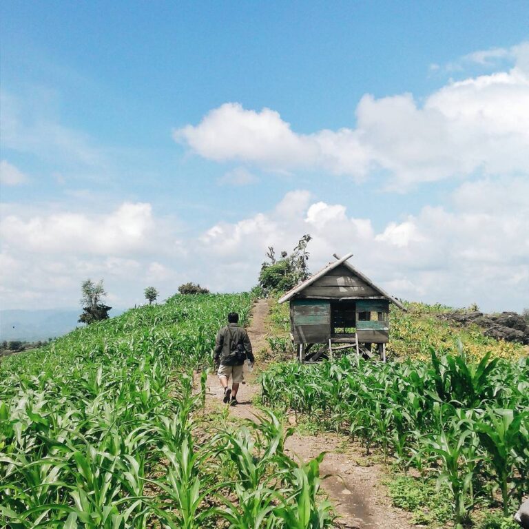 #explorebima Photo today by  taken at Around Donggo
#exploreindonesia ...