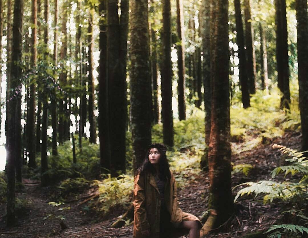 #exploresukabumi photo by  lensed at Pasir Datar pine forest, #Kadudampit...