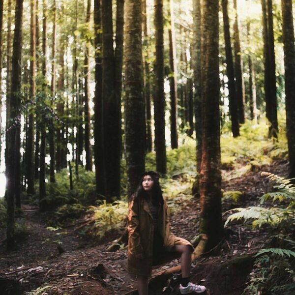 #exploresukabumi photo by  lensed at Pasir Datar pine forest, #Kadudampit...