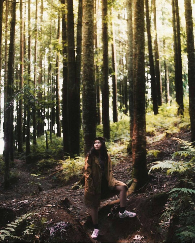 #exploresukabumi photo by  lensed at Pasir Datar pine forest, #Kadudampit...