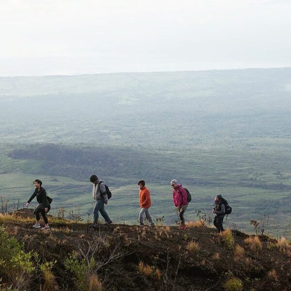 #explorebima Photo today by  taken at Around Mt Tambora

#exploreindonesia...