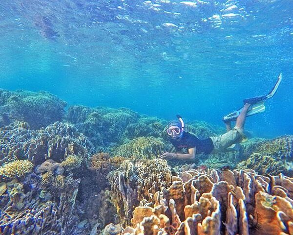 #explorebima Photo today by  taken at Bajopulo Sape

#exploreindonesia...