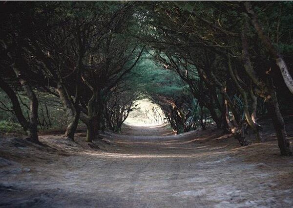 #explorejogja photo today by  taken at Pantai Cemara Sewu, Bantul....