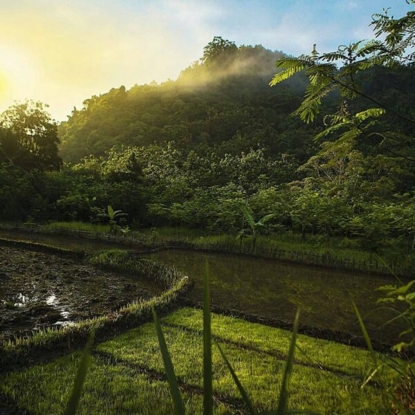 #exploresukabumi photo by  taken around #Jampang, #Surade...