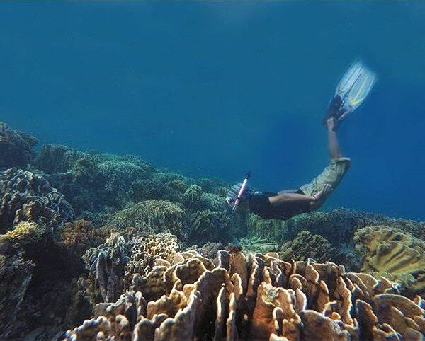 #explorebima Photo today by  taken at Bajo Pulo Beach Sape

#exploreindonesia...