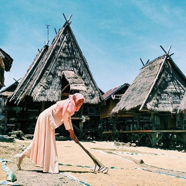 #explorebima Photo today by  taken at Uma Lengge Wawo

#exploreindonesia
#indone...
