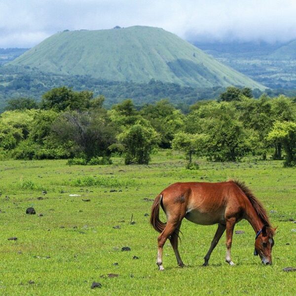 #explorebima Photo today by  taken at Around Kawinda Toi ( View Doro Tabe )

#ex...