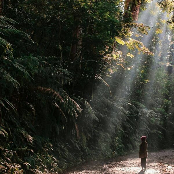 #exploresukabumi photo by  taken at Taman Nasional Gunung Gede Pangrango...