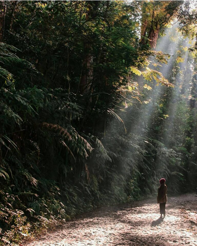 #exploresukabumi photo by  taken at Taman Nasional Gunung Gede Pangrango...