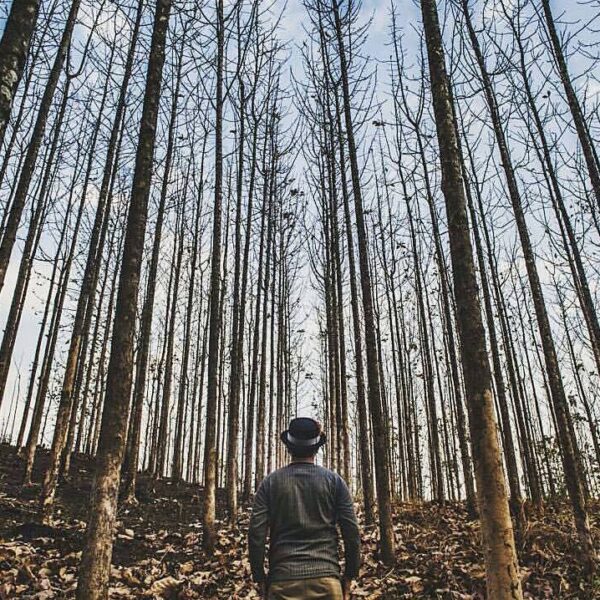 #exploresukabumi photo taken at Kebun Jati, Bantar Gadung, by  via ...