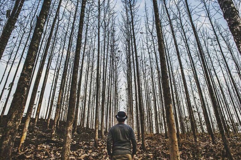 #exploresukabumi photo taken at Kebun Jati, Bantar Gadung, by  via ...