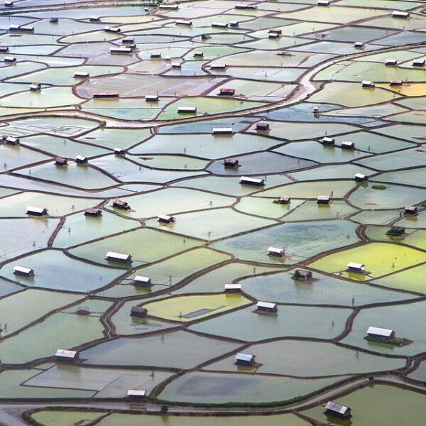 #explorebima Photo today by  taken at Salt Farm Bima

#exploreindonesia
#indones...