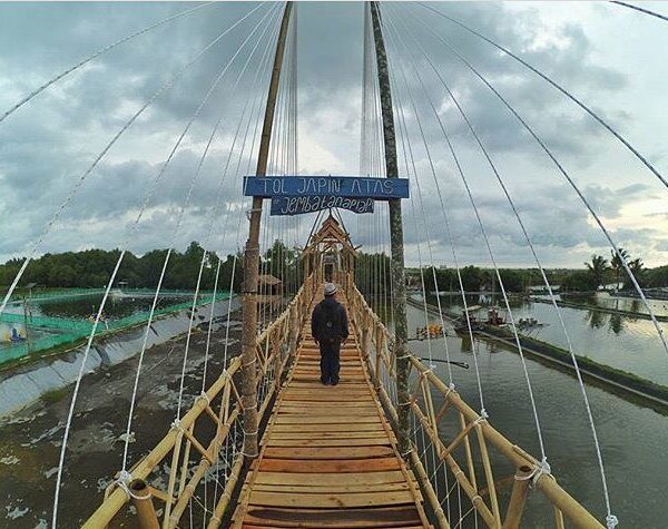 #explorejogja photo today by  taken at Hutan Mangrove, Kulon Progo....