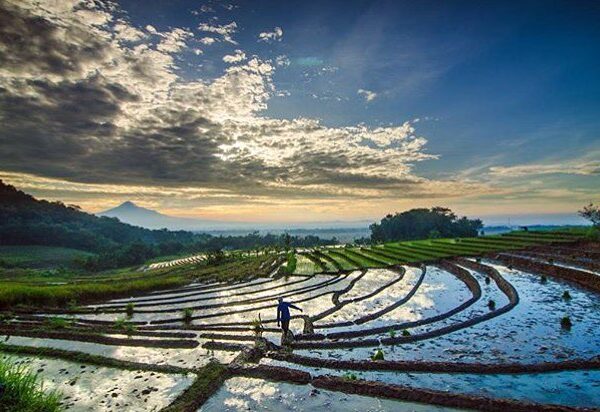 #explorejogja photo today by  taken around Girimulyo, Kulon Progo....