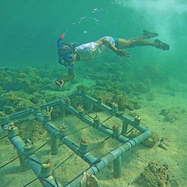 #explorebima Photo today by  taken at So Numbe Beach

#exploreindonesia
#indones...