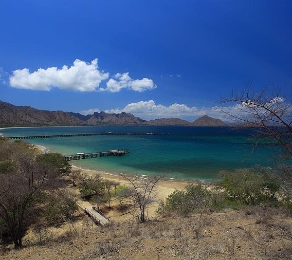 Ada yang udah pernah ke Pulau Komodo dan pengen balik lagi?
.

Mungkin ini dia s...