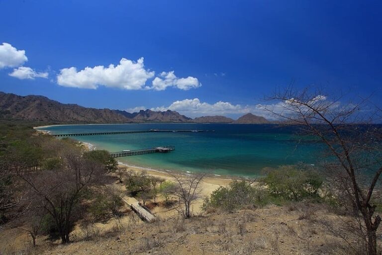 Ada yang udah pernah ke Pulau Komodo dan pengen balik lagi?
.

Mungkin ini dia s...