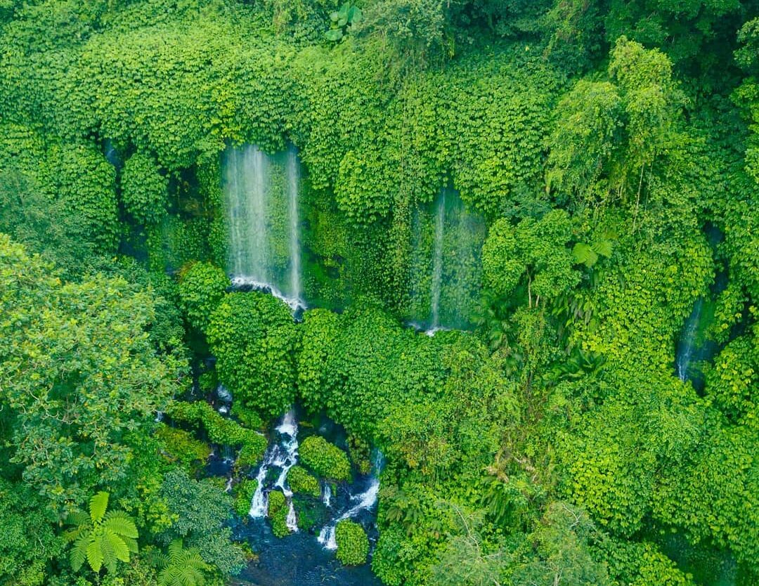 Air terjun yang tumpah di sela-sela rerimbunan tumbuhan nan hijau ini, membentuk...