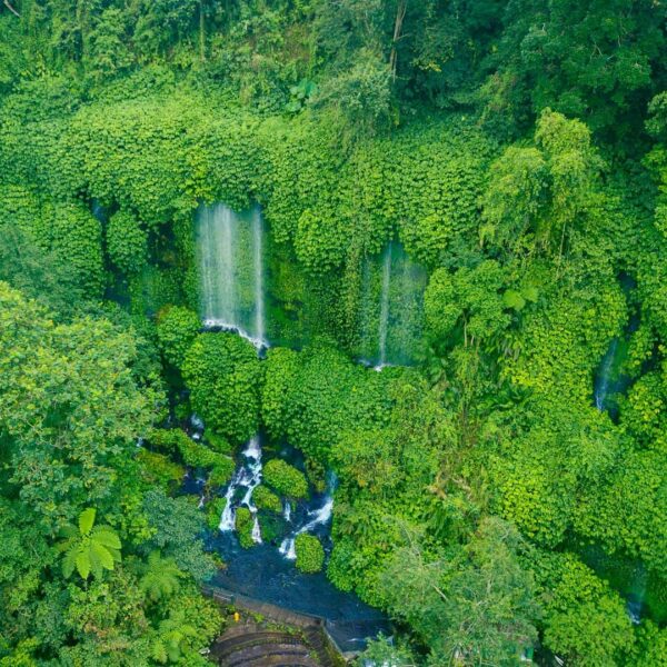 Air terjun yang tumpah di sela-sela rerimbunan tumbuhan nan hijau ini, membentuk...