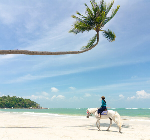 Apakah kamu ingin menikmati keindahan wisata pantai di Indonesia yang berkelas i...