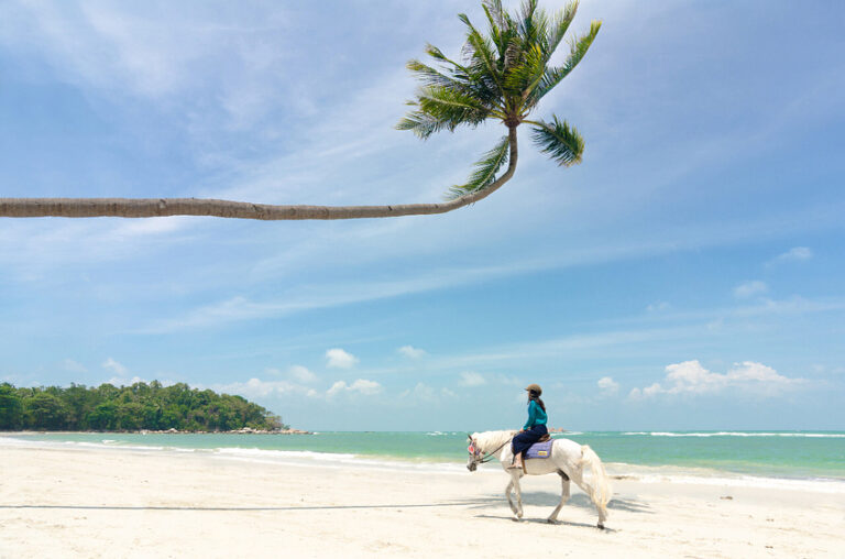 Apakah kamu ingin menikmati keindahan wisata pantai di Indonesia yang berkelas i...