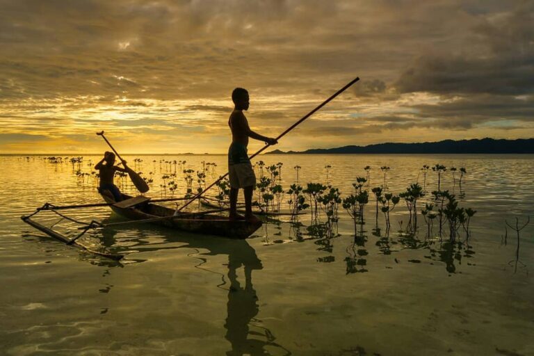 Arborek, desa wisata yang diusung-usung menjadi salah satu spot snorkeling dan d...