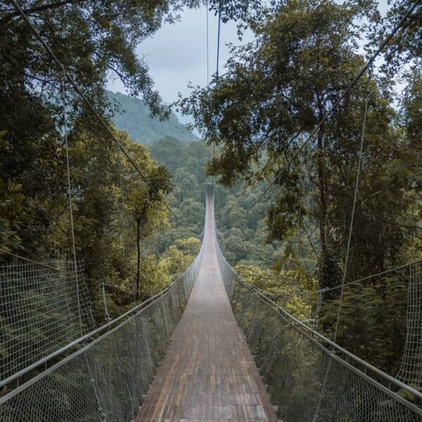 Bisa ngebayangin rasanya berada di jembatan gantung ini? Panjangnya sekitar 240 ...