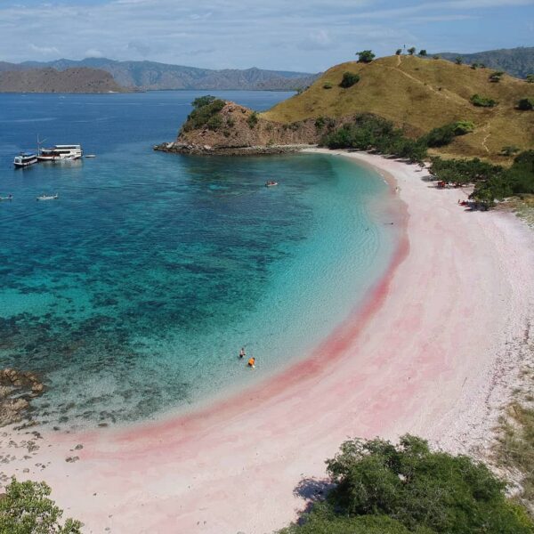 Bukan hoax, Pantai Pink di Flores, NTT, pasirnya berwarna pink sungguhan, lho!
....