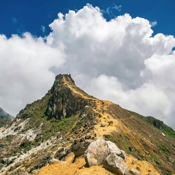 Bukan puncak yang harus kita taklukkan, melainkan diri kita sendiri’, kalimat mo...