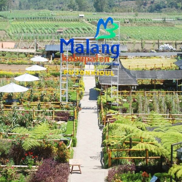 Cafe Sawah berada di area persawahan nan hijau di Pujon Kidul, Kecamatan Pujon, ...