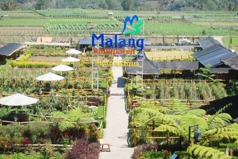 Cafe Sawah berada di area persawahan nan hijau di Pujon Kidul, Kecamatan Pujon, ...