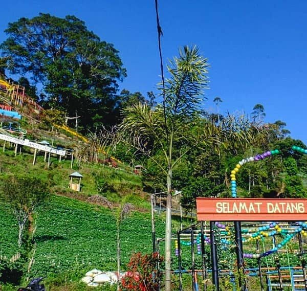 Desa cantik ini berada di Purbalingga, Jawa Tengah. Jarak tempuh sekitar 30-45 m...