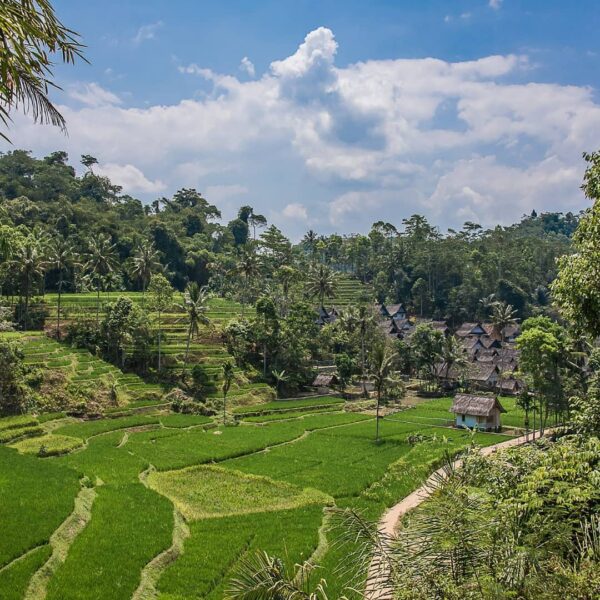 Desa nan asri ini bernama Kampung Naga, salah satu wisata budaya di Tasikmalaya ...