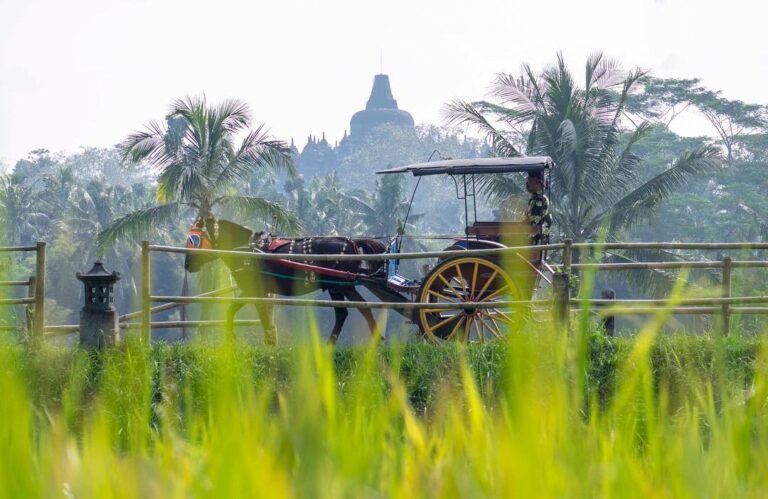 Di spot ini Sahabat Pesona akan menjumpai areal persawahan milik warga sekitar d...