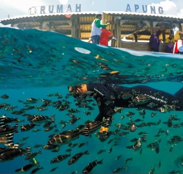 Dulu pantai ini jadi langganan bom dan racun ikan dari nelayan. Kini, menjadi de...