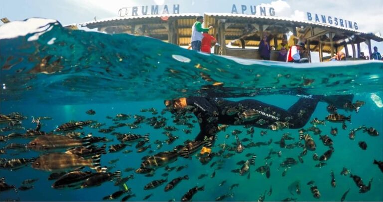Dulu pantai ini jadi langganan bom dan racun ikan dari nelayan. Kini, menjadi de...