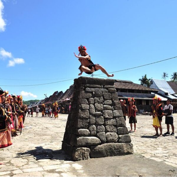Fahombo atau yang dikenal dengan "lompat batu" adalah tradisi yang berasal dari ...