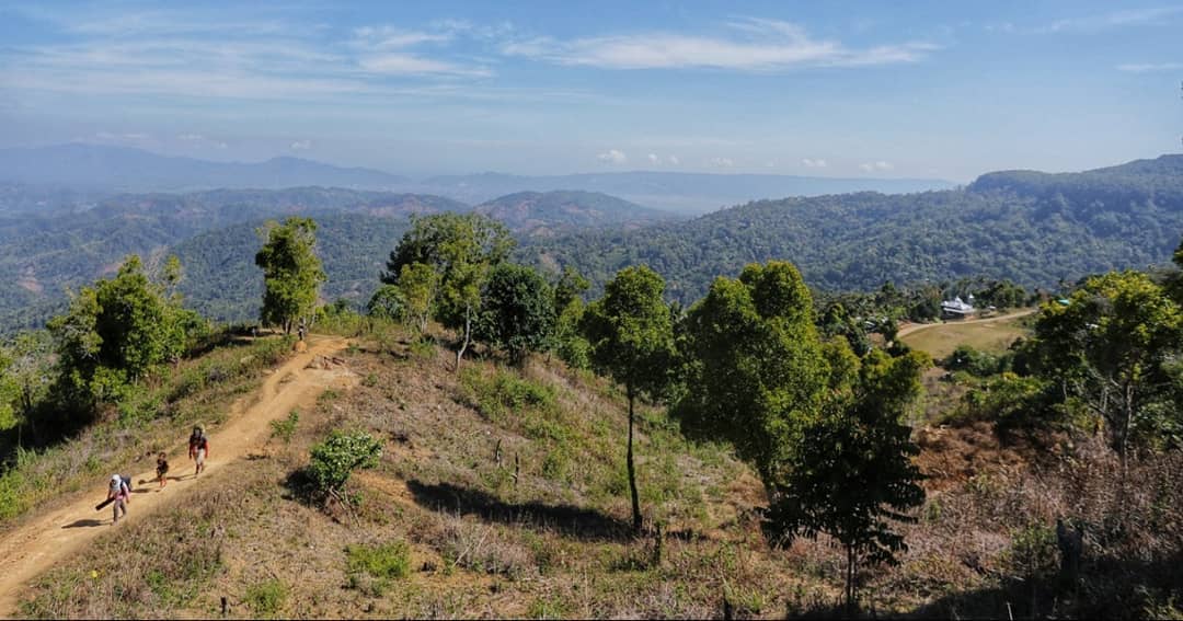 Gorontalo punya objek wisata Hutan Pinus Dulamayo yang pas untuk menikmati bangu...