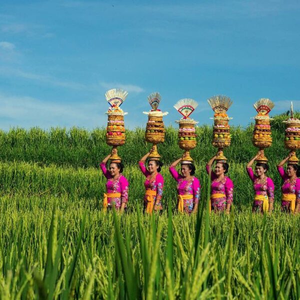 Hai Sahabat Wisata, Selamat Hari Kartini, walau terlambat. 
.
.
.
.
.
 : 
.
.
.
...