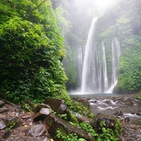 Hai, Sobat Pesona! Liburan ke Lombok pastinya kalian sudah punya banyak pilihan ...