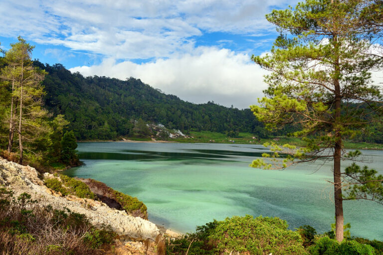 Hai, Sobat Pesona! Tomohon tidak hanya memiliki keindahan bunga yang warna-warni...