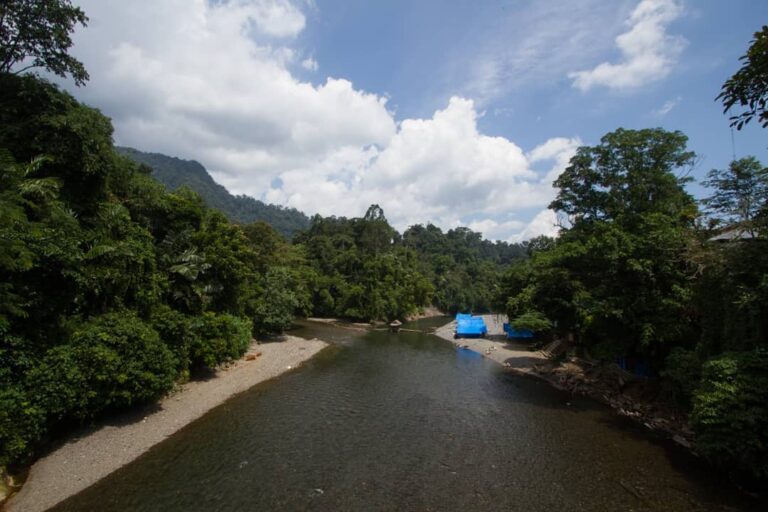 Hai, animal lovers! Sudah pernah ngerasain sensasi mandiin gajah? Kalau belum da...