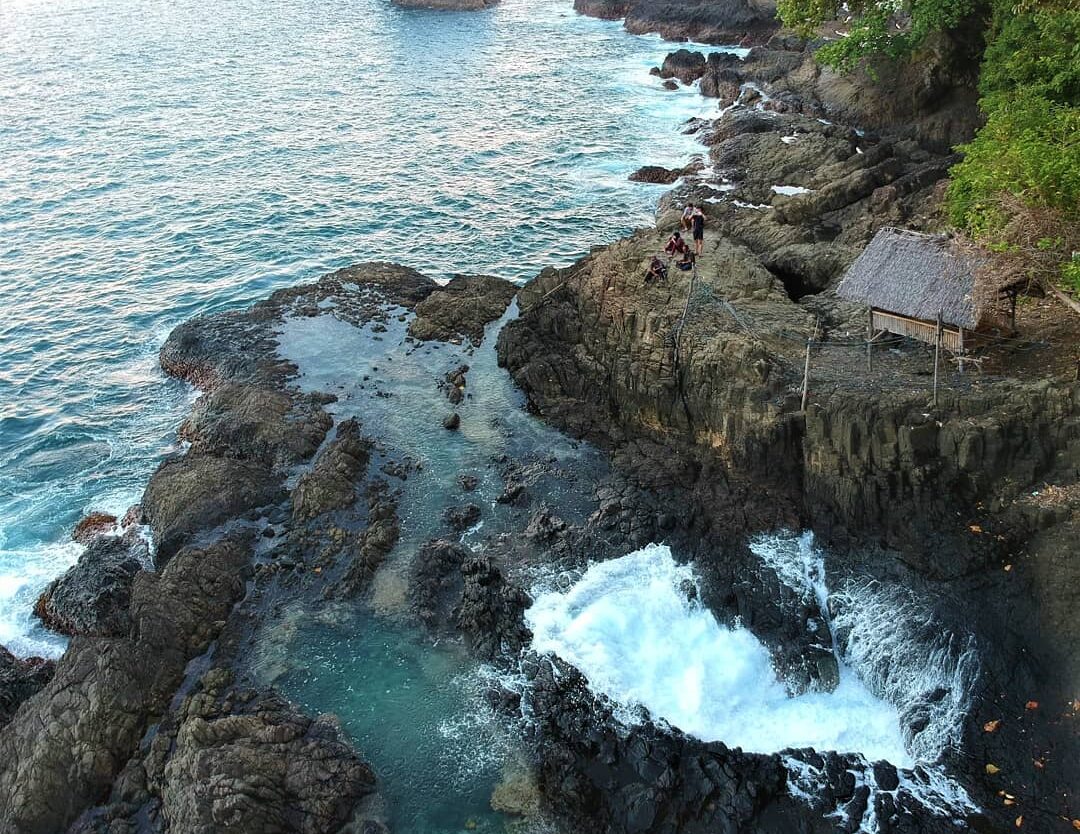Hendak mudik ke Lampung? Jangan lewatkan kesempatan melihat lumba-lumba di Teluk...
