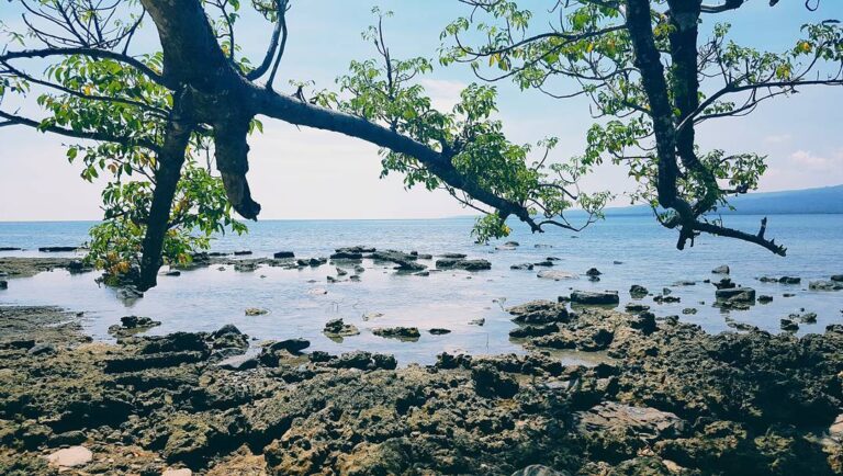Hijaunya daun di ranting dan birunya air di laut. Selamat tinggal long weekend d...