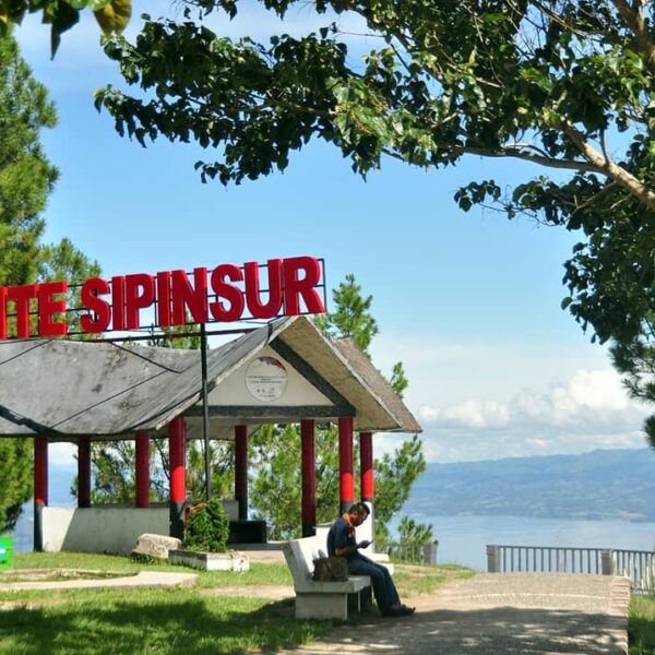 Ingin menikmati hutan pinus dan Kaldera Toba selayaknya pekarangan atau taman pr...