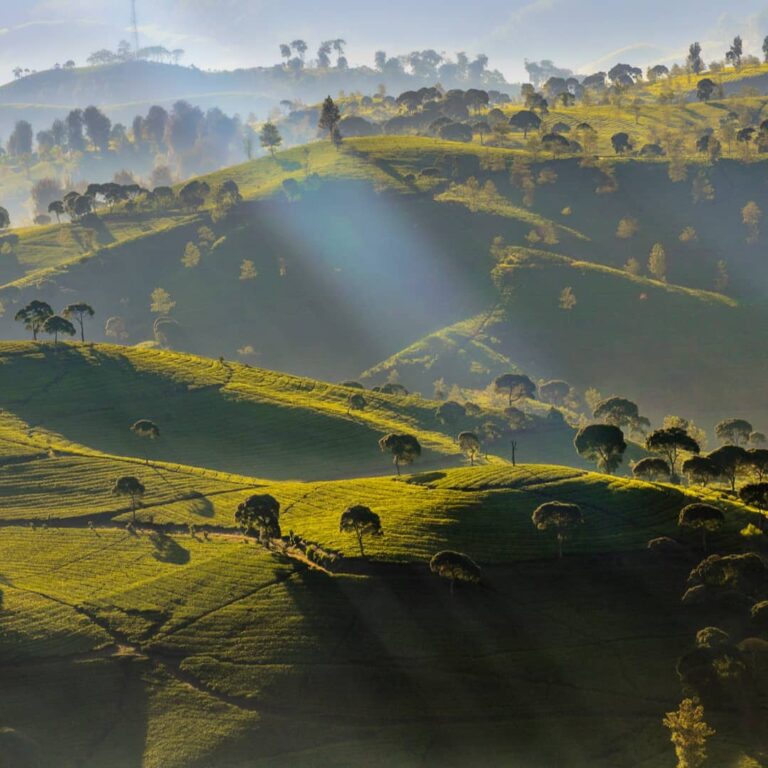 Ingin menikmati sunrise yang tak biasa? Bandung punya lho, salah satu spot terba...