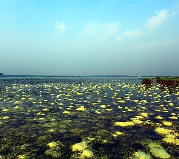 Ini dia salah satu dari seribu keindahan di Kepulauan Seribu, namanya Pulau Pram...
