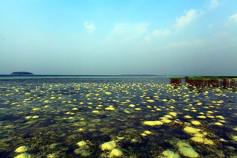 Ini dia salah satu dari seribu keindahan di Kepulauan Seribu, namanya Pulau Pram...