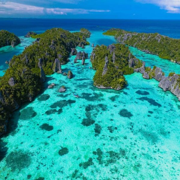 “Jangan Mati Dulu Sebelum ke Raja Ampat”, kalimat ini tentu tak asing lagi bagi ...