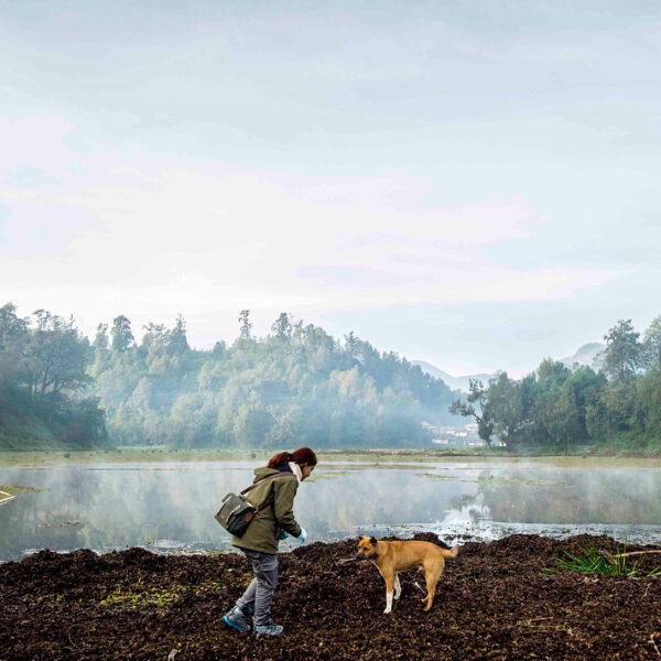 Jelajah Ranu (Ranu Pani)
.
Ranu (danau) Pani yang terletak di kawasan Taman Nasi...